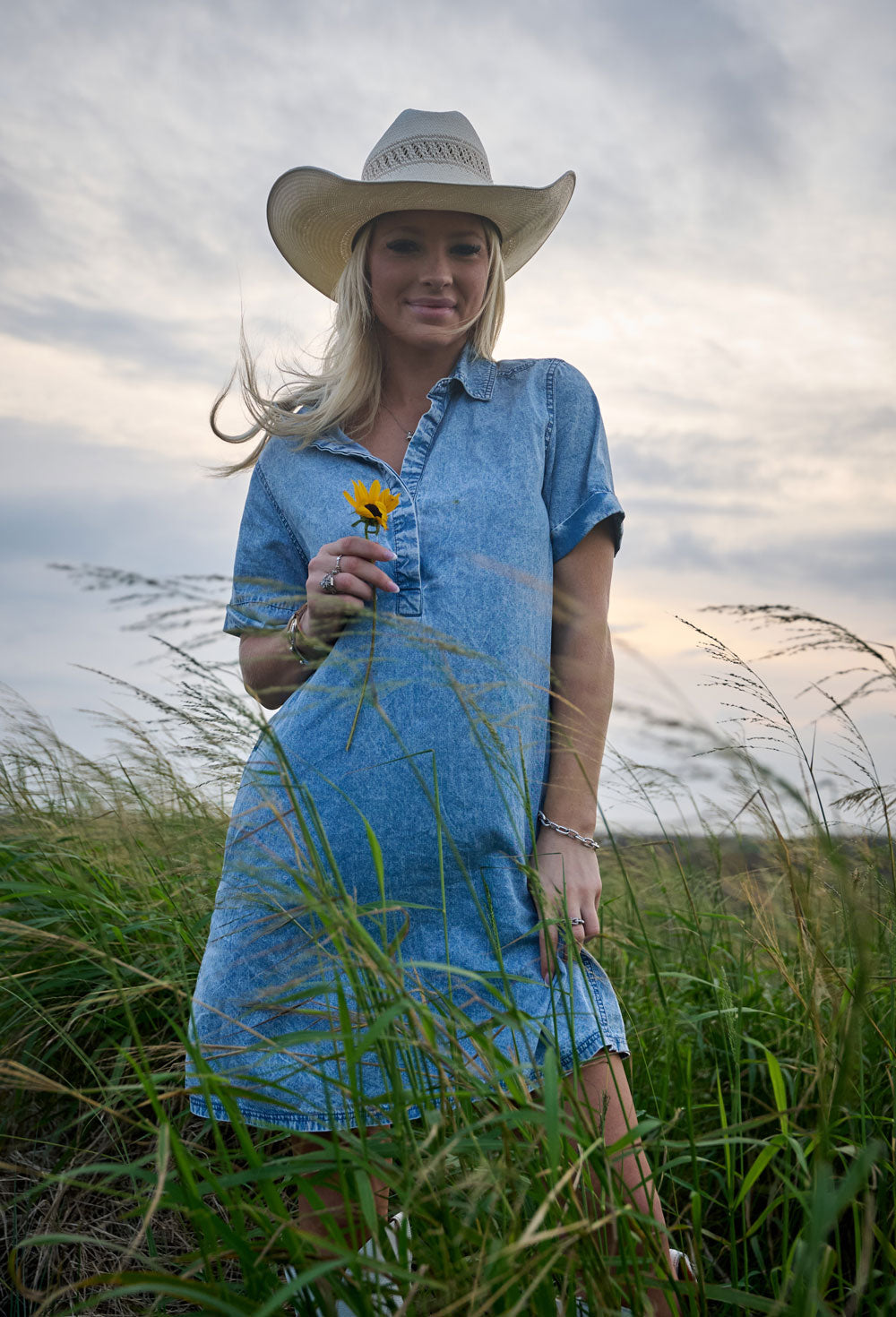 "Denali" Denim Chambray Dress