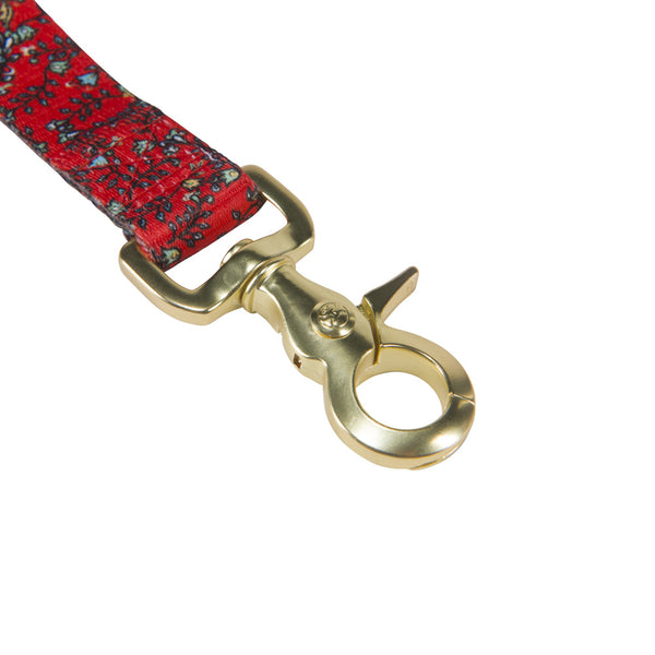 HOOEY Nomad 6-Foot Dog Leash - Durable Polyester Webbing With Graphic Prints, Metal Hardware, Adjustable D-Ring