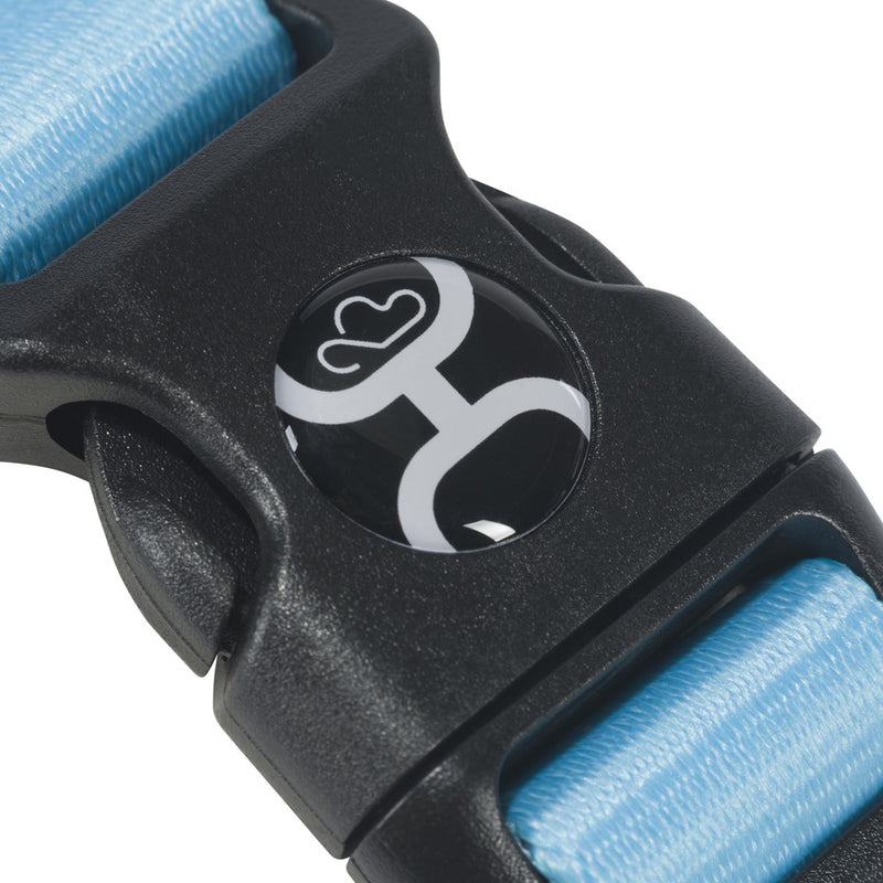 Closure on the blue dog walking harness