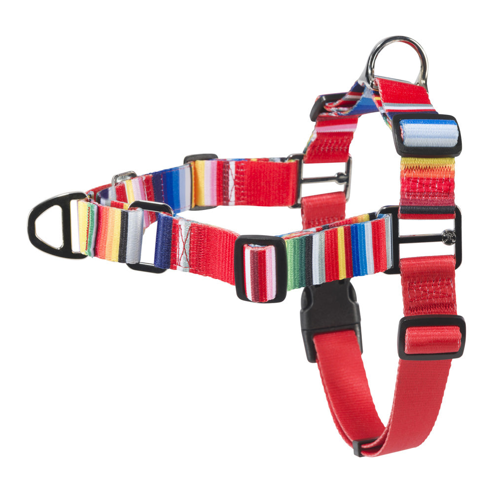 Hooey Pet Walking Harness - Serape Tijuana