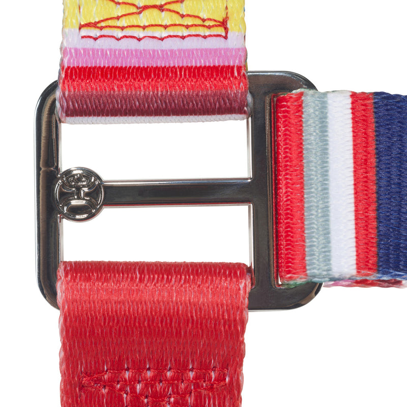 Close up of the bracket on the Tijuana Sarape pet walking harness