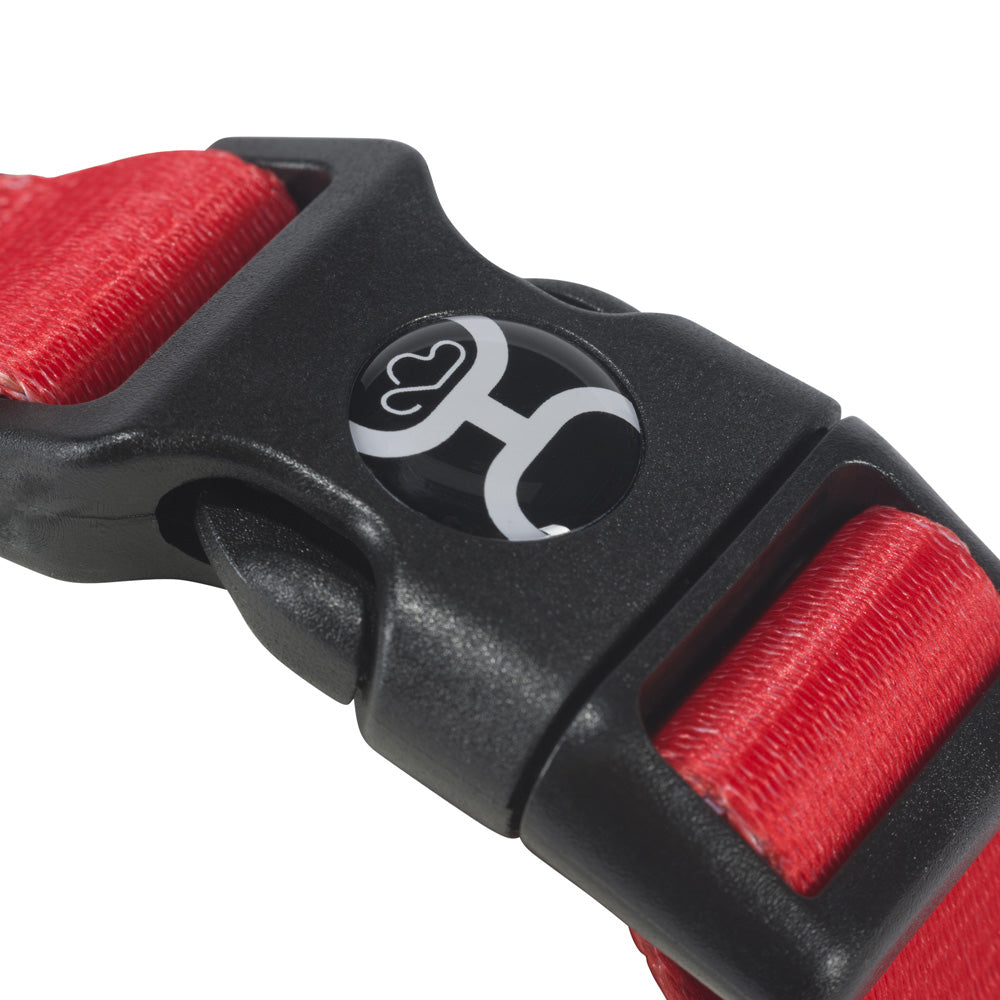 close up of the closure on the Tijuana serape pet walking harness