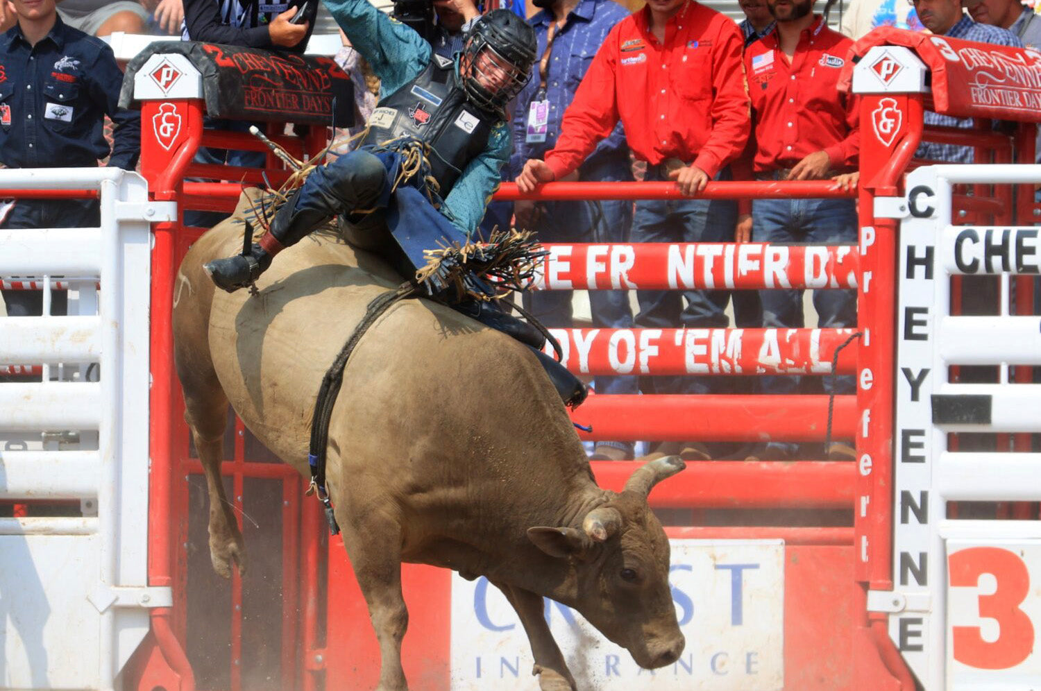 Tristen Hutchings