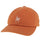 Texas Longhorns Dad Hat w/ 