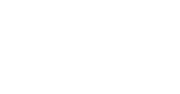 FLEX MESH LOGO