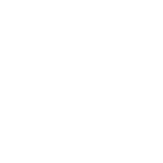 REVERSILE SWIMWEAR LOGO
